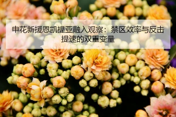 shen-hua-xin-yuan-en-kai-ti-ya-rong-ru-guan-cha-jin-qu-xiao-lv-yu-fan-ji-ti-su-de-shuang-chong-bian-liang-2-207.jpg